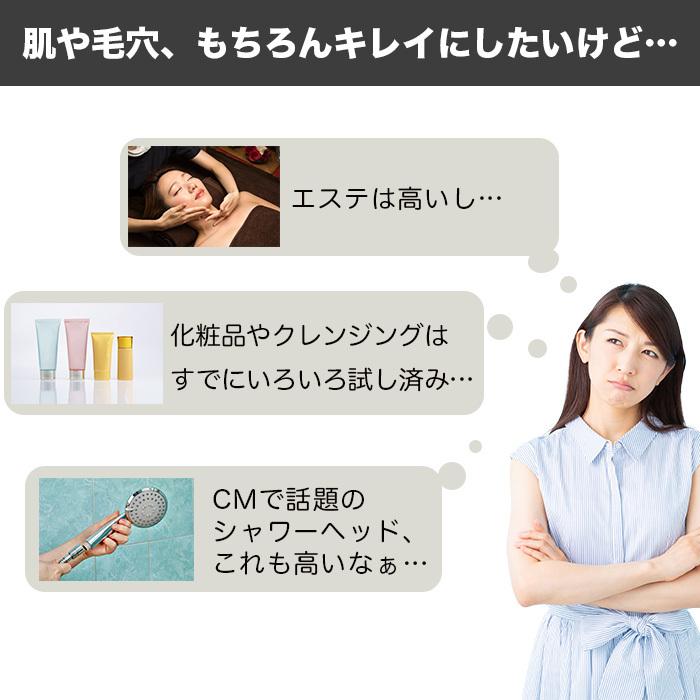 バブルマイスター シャワー用 マイクロバブル シャワー 富士計器 バブルマイスター シャワー用 マイクロバブル シャワー 富士計器