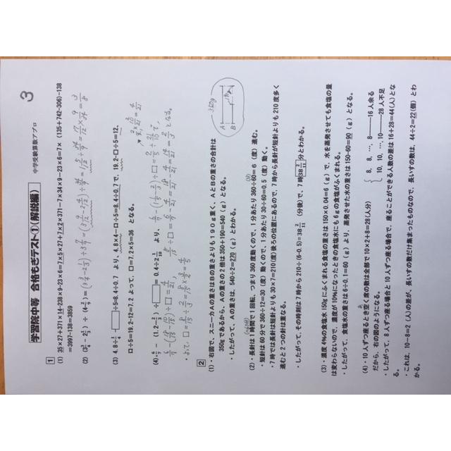 独創的 中学入試 志望校の出題傾向と難易度にあった教材をご提供 中学受験 学習院中等科 23年攻略プリント 算数と分析理科