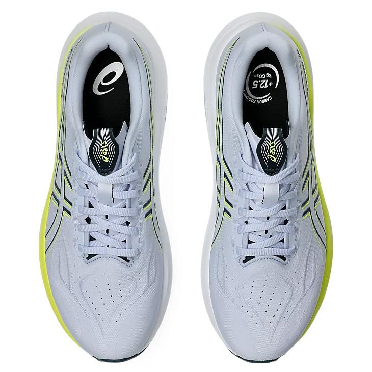 ASICS（アシックス） ランニングシューズ 2E相当 メンズ asics GT-2000