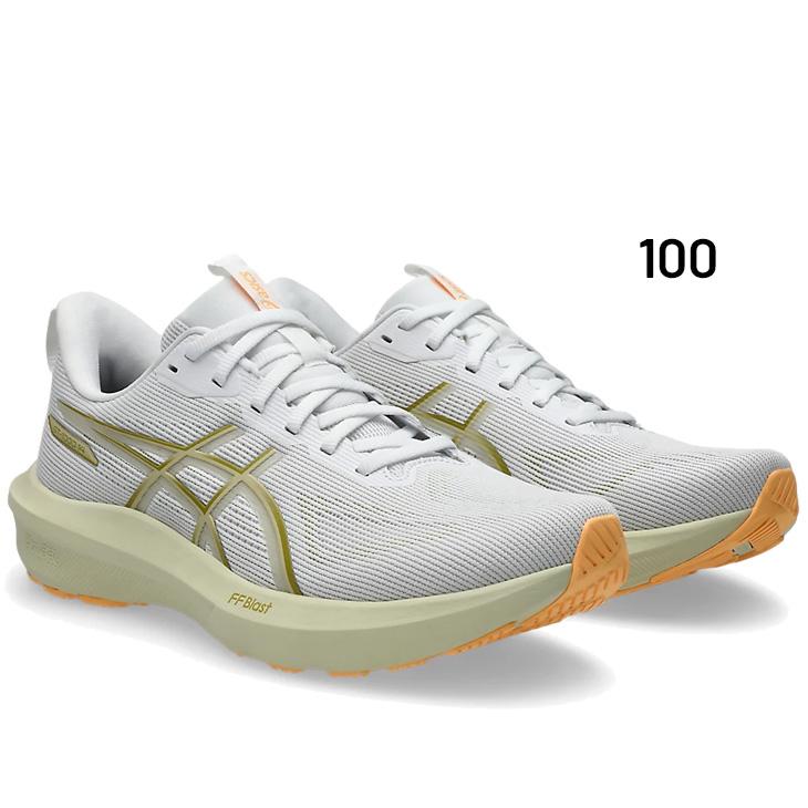 ASICS（アシックス） メンズ ランニングシューズ 2E相当 asics GT-1000