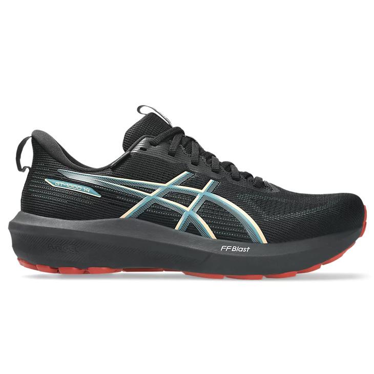 ASICS（アシックス） メンズ ランニングシューズ 2E相当 asics GT-1000