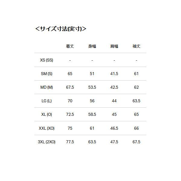 UNDER ARMOUR（アンダーアーマー） スウェット パーカー メンズ