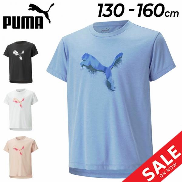 PUMA プーマ キッズ 半袖 Tシャツ 女の子 MODERN SPORTS Tee/ジュニア  