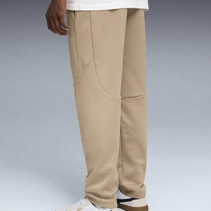 プーマ メンズ 上下セット PUMA EVOSTRIPE ウォーム 長袖パーカー ロングパンツ 裏起毛 セットアップ 男性 スリム スポーツウェア 上下組 /691116-691117の画像