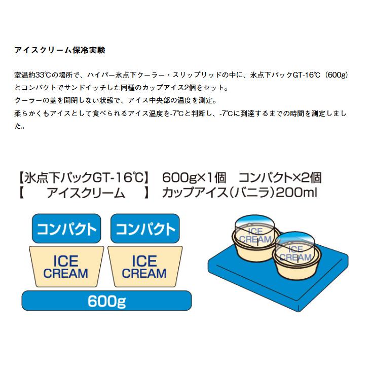 LOGOS（ロゴス） 保冷バッグ 3L クーラーバッグ ハイパー氷点下