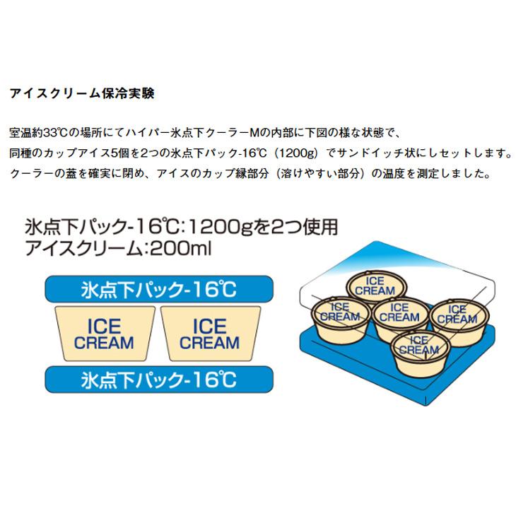 LOGOS（ロゴス） クーラーボックス 約12L 強力保冷 クーラーバッグ