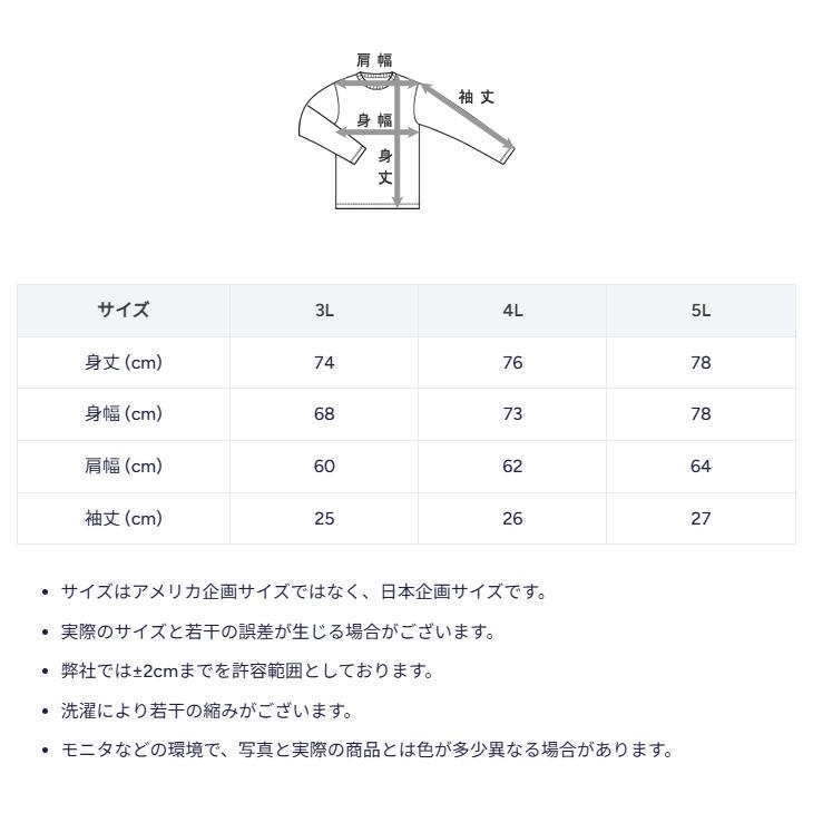 Champion（チャンピオン） 半袖 スウェットシャツ 3L 4L 5L メンズ