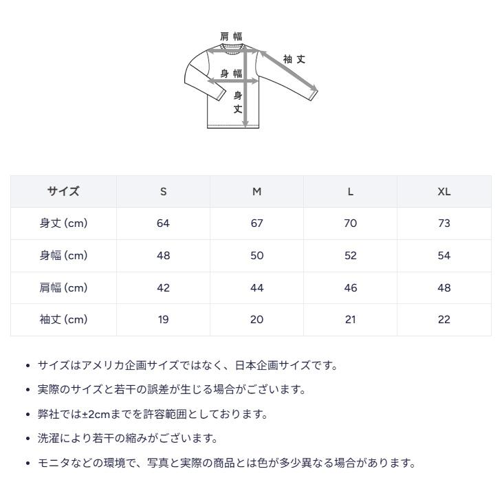 Champion（チャンピオン） 半袖 Tシャツ メンズ プリントTシャツ