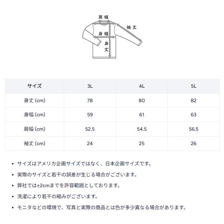 Champion（チャンピオン） 半袖 Tシャツ メンズ 3L 4L 5L 大きいサイズ