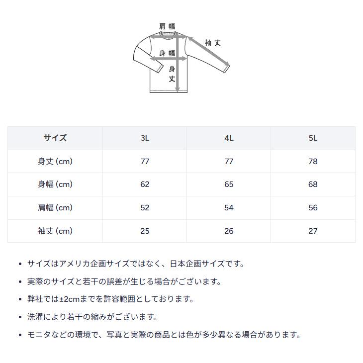 Champion（チャンピオン） 半袖 Tシャツ 3L 4L 5L メンズ 大きいサイズ