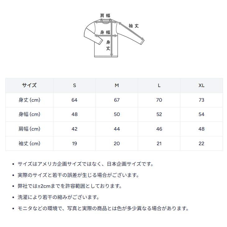Champion（チャンピオン） 半袖 Tシャツ メンズ ワッフルTシャツ 半袖