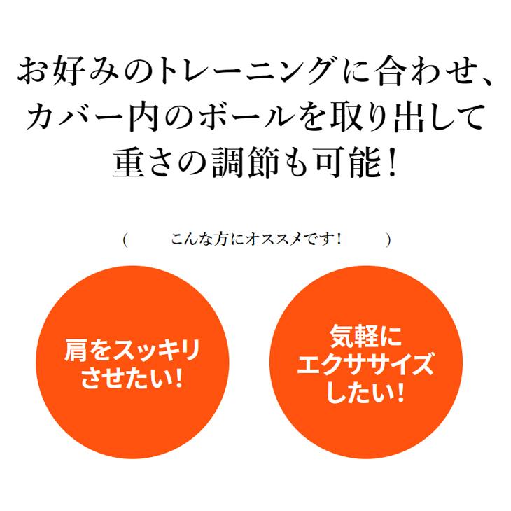 MIZUNO（ミズノ） ダンベルボール ボルレッチサンク ボール5個入