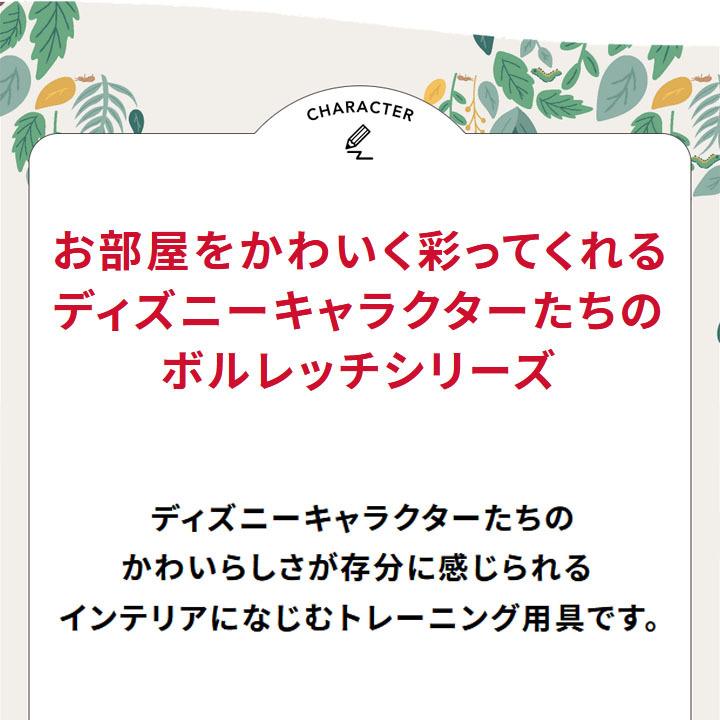 MIZUNO トレーニング エクササイズ グッズ ミズノ mizuno MIZUNO トレーニング エクササイズ グッズ ミズノ mizuno