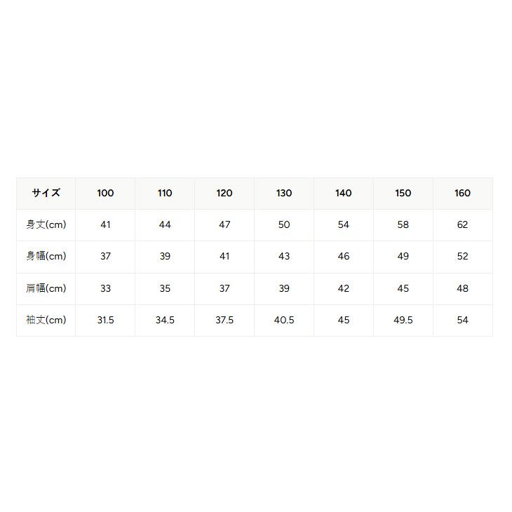 チャンピオン パーカー 長袖 キッズ ジュニア Champion フーデッドスウェットシャツ 130-160cm 子供服 プルオーバー 裏毛 スエット 無地 Cロゴ /CK-E101 | Champion | 17