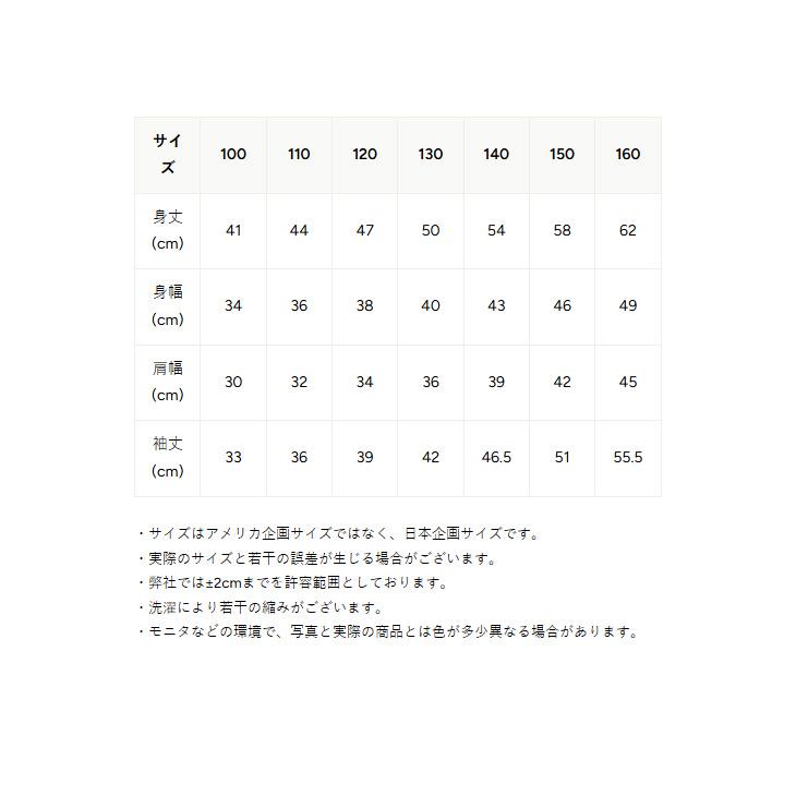 チャンピオン 長袖 Tシャツ キッズ Champion 長袖シャツ ジュニア 130-160cm 子供服 ロンT コットンT ワンポイント 刺繍 子ども 男の子 女の子 /CK-E401 | Champion | 16