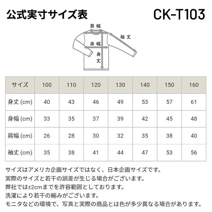 Champion（チャンピオン） キッズ スウェット 上下 130-160cm 子供服