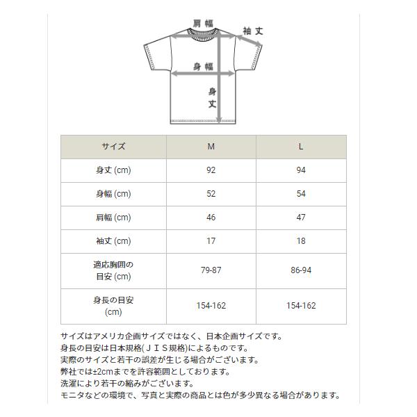 ワンピース Tシャツ 半袖 レディース チャンピオン Champion