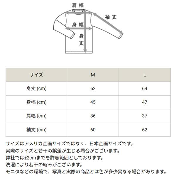 チャンピオン 長袖 Tシャツ レディース Champion スポーツ カジュアルウェア ウエア ワンポイント 女性 トップス ロンT コットンUSA 無地 ブランド /CW-X407｜apworld｜10