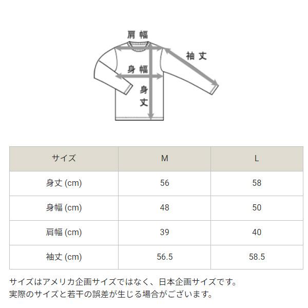 チャンピオン トレーナー 裏起毛 長袖 レディース Champion スウェットシャツ モックネック 無地 刺繍ロゴ 女性用 スエット 保温 秋冬 CW-Y020｜apworld｜15