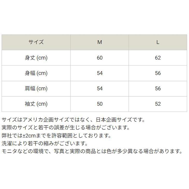 チャンピオン パーカー 長袖 裏起毛 レディース Champion REVERSE WEAVE プルオーバー パーカ フーディ プリント カジュアル レディースウェア CW-Y102｜apworld｜14