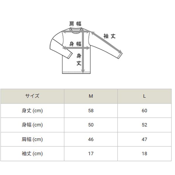 チャンピオン 半袖 Tシャツ レディース Champion プリントT クルーネック コットン カレッジ風 女性用 トップス カジュアル レディースウェア ウエア /CW-Z328｜apworld｜12