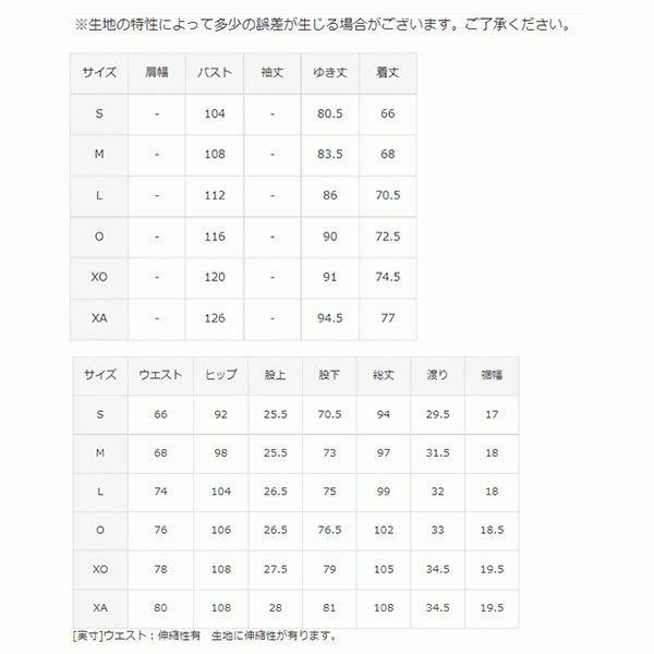 DESCENTE（デサント） トレーニングウェア ジャージ 上下 メンズ