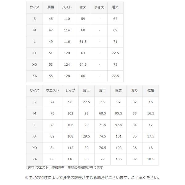 DESCENTE（デサント） ウィンドブレーカー 上下 メンズ/DESCENTE