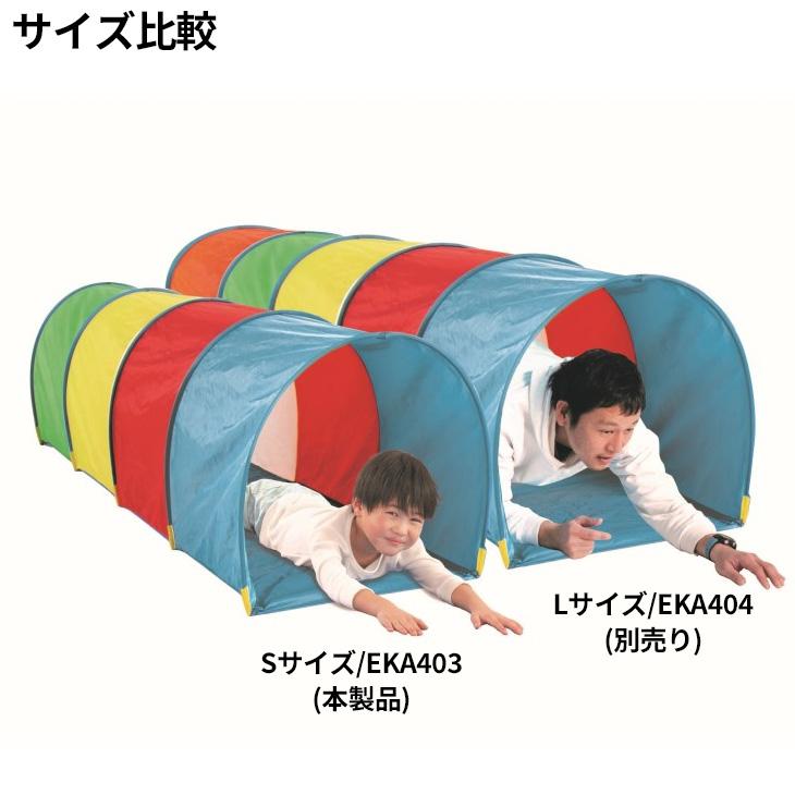 ena エナ　パースペクティブ　小学６年 ena 小4下〜小6 PERSPECTIVE パースペクティブ 計46冊