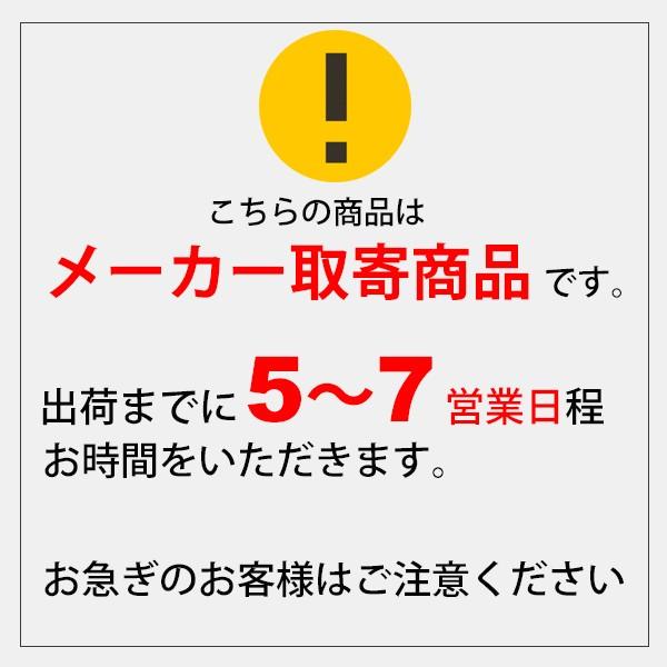 ボッチャ体験版セット エバニュー EVERNEW ボッチャボール３ 体育用品 体育用具/ETE039【取寄】