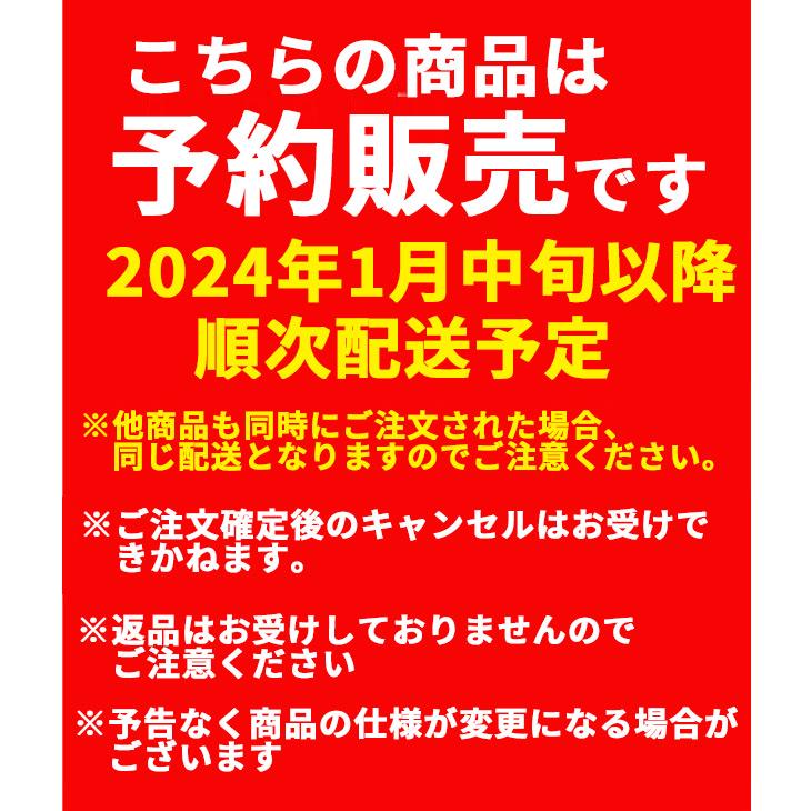 予約商品】【2024年1月中旬発送予定】数量限定 ギルバート 2023 予約商品】【2024年1月中旬発送予定】数量限定 ギルバート 2023