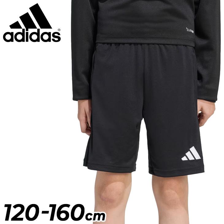 アディダス ショートパンツ キッズ ジュニア adidas ENTRADA 26 トレーニング ショーツ 120-160cm サッカーウェア フットサル スポーツウェア 子供服 /M5465 | adidas