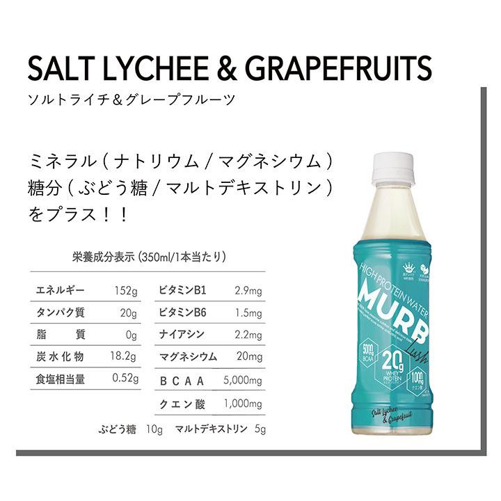 LUSH（ラッシュ） ホエイプロテイン ドリンクタイプ 350ml 24本入り1