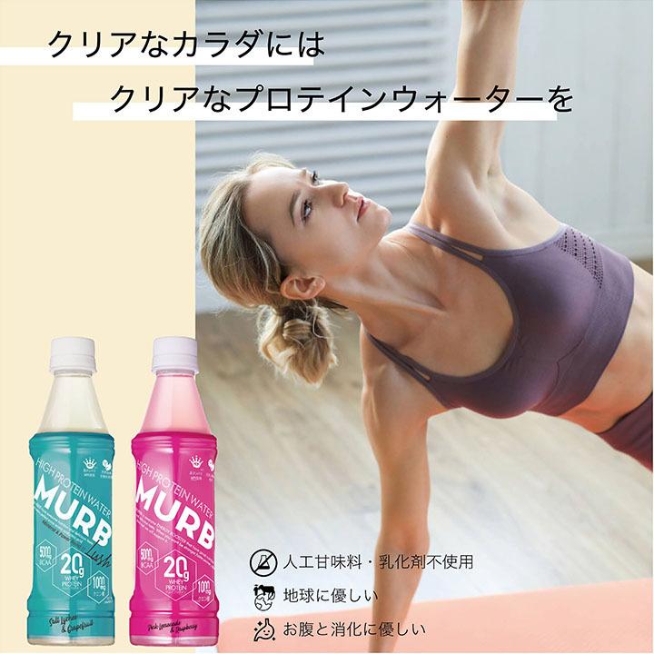 LUSH（ラッシュ） ホエイプロテイン ドリンクタイプ 350ml 24本入り1