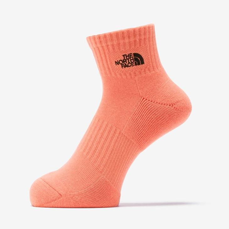 THE NORTH FACE（ザ ノースフェイス） 靴下 アンクル丈ソックス 2足組