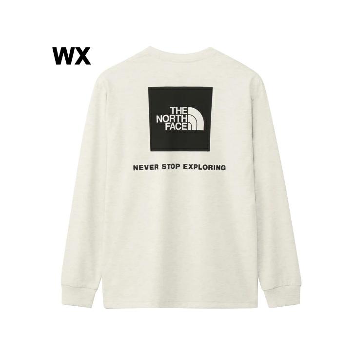 THE NORTH FACE（ザ ノースフェイス） 長袖 Tシャツ メンズ バック