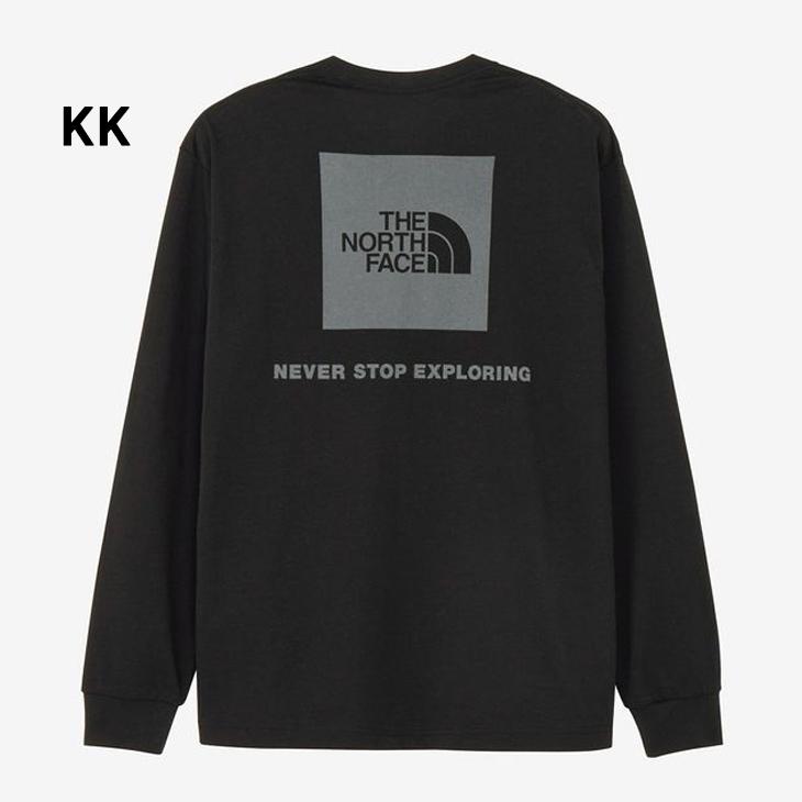 THE NORTH FACE ザ・ノース・フェイス 長袖 Tシャツ メンズ バック