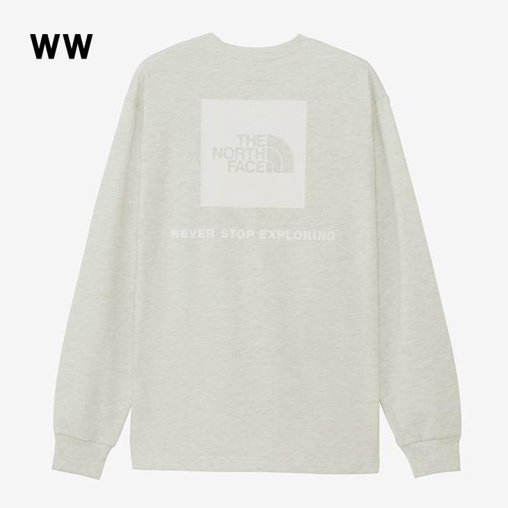 THE NORTH FACE（ザ ノースフェイス） 長袖 Tシャツ メンズ バック