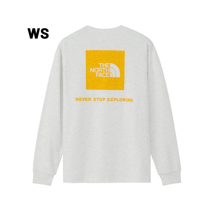 THE NORTH FACE（ザ ノースフェイス） 長袖 Tシャツ メンズ バック