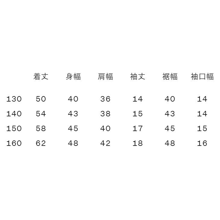 THE NORTH FACE（ザ ノースフェイス） キッズ 半袖 Tシャツ バック