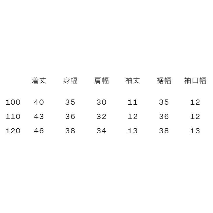 THE NORTH FACE（ザ ノースフェイス） キッズ ベビー 半袖 Tシャツ 100