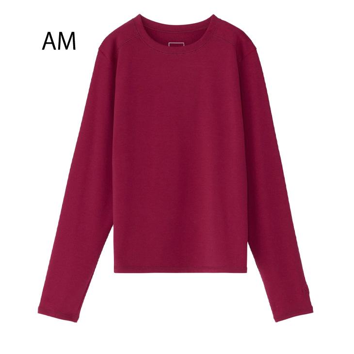 THE NORTH FACE（ザ ノースフェイス） 長袖シャツ Tシャツ レディース