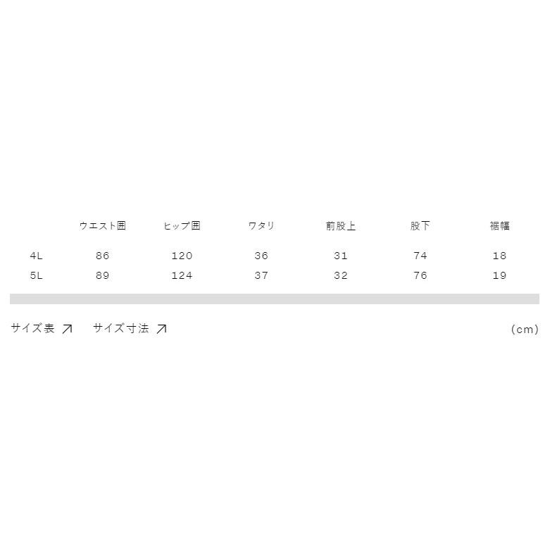 Canterbury ラグビー日本代表 R13114JP Lサイズ カンタベリー（Canterbury） ジャージパンツ メンズ 4L-5Lサイズ