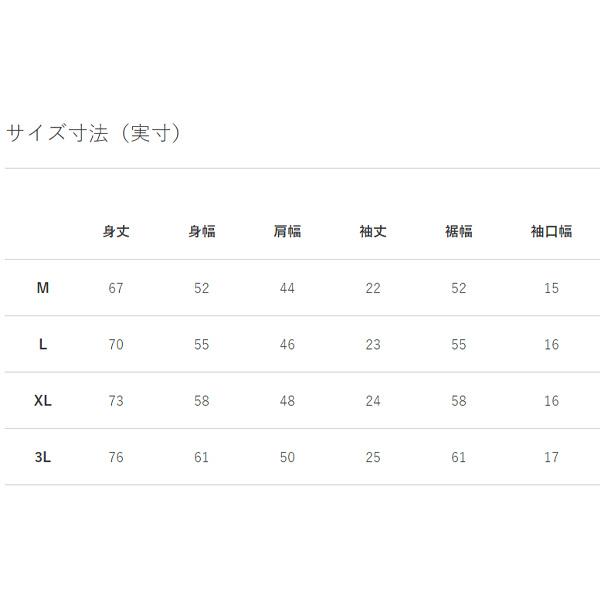 カンタベリー 半袖 ポロシャツ メンズ canterbury 吸汗速乾 抗菌防臭 ラグビー スポーツ カジュアル ウェア 男性 春 夏 トップス/RA33039｜apworld｜11