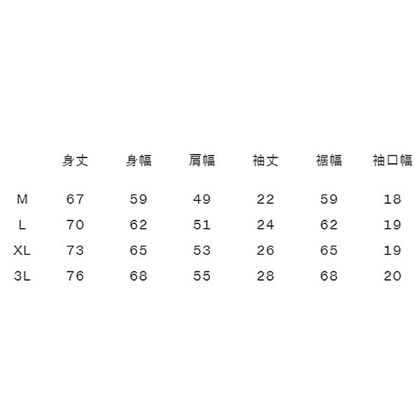 カンタベリー 半袖 ラガーシャツ メンズ レディース canterbury スペクテーター ラグビージャージ ユニセックス ラガースタイル カジュアルシャツ /RA34106｜apworld｜10