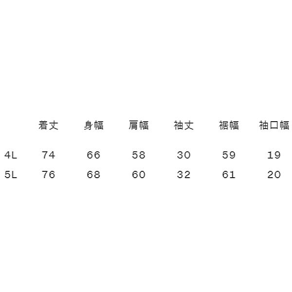 カンタベリー 半袖 Tシャツ 4L 5L メンズ 大きいサイズ canterbury アールプラス ワークアウトティー R+ RUGBY+ ビッグサイズ ラグビー トレーニング /RP34074B｜apworld｜12