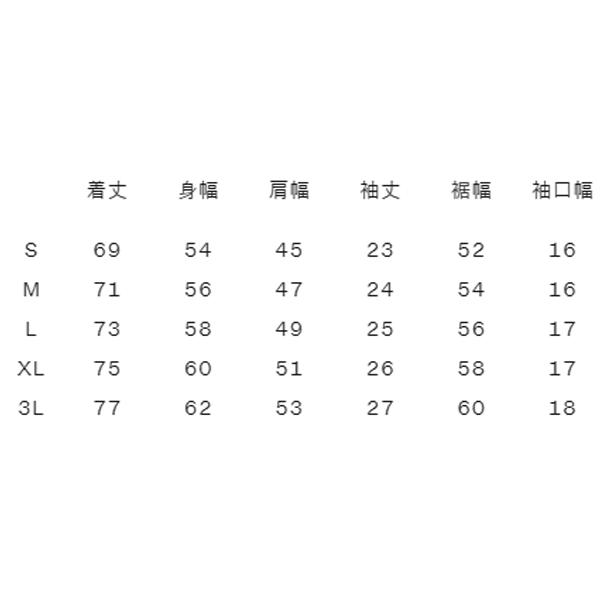 カンタベリー 半袖 ポロシャツ メンズ canterbury アールプラス R+ RUGBY+ ラグビー スポーツウェア ウエア 吸汗速乾 抗菌防臭 トレーニング デイリー /RP34115｜apworld｜10