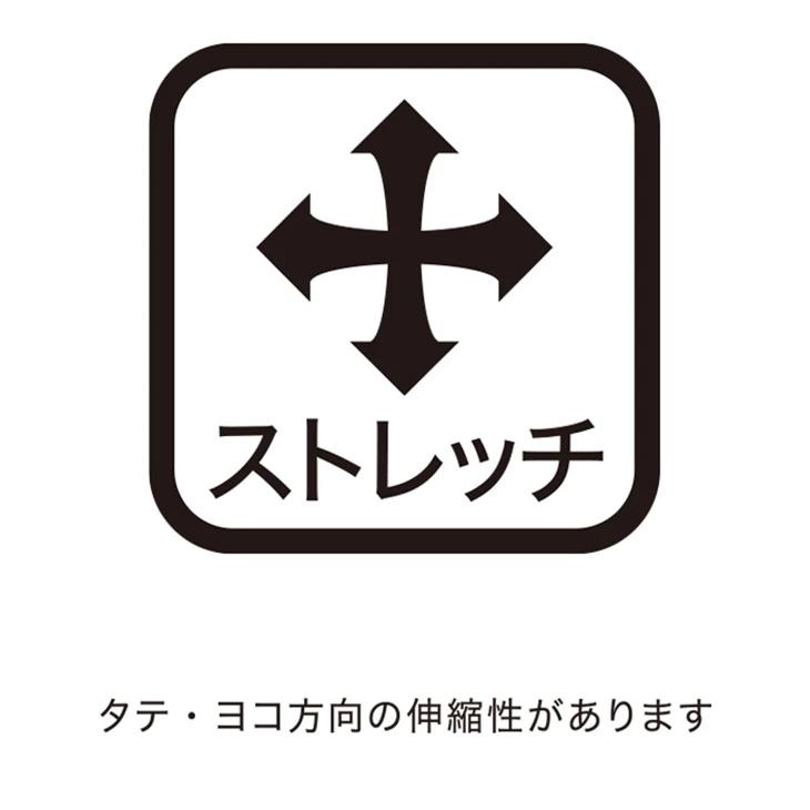 DESCENTE（デサント） クロスパンツ メンズ DESCENTE MOVESPORT