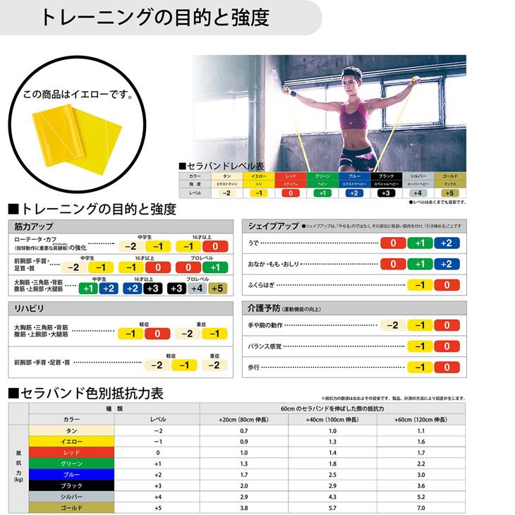 D&M セラバンド 全長2m 黄 イエロー 強度レベル-1 ディー＆エム THERABAND  トレーニングバンド トレーニングゴム 筋トレ フィットネス /TBB1 | THERABAND | 01