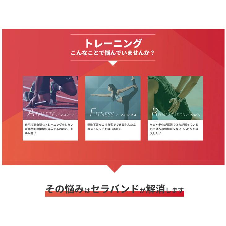 THERABAND D&M セラバンド 全長2m 赤 レッド 強度レベル0 ディー