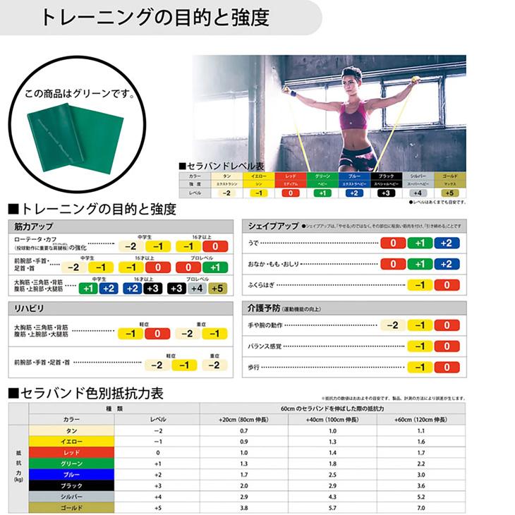 D&M セラバンド トレーニングバンド 全長2m 緑 グリーン 強度レベル+1 ディー＆エム THERABAND トレーニングゴム 筋トレ フィットネス /TBB3 | THERABAND | 01